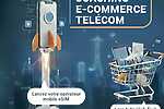 coaching et e-commerce, dropshipping dans le secteur des telecom