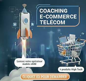 Le coaching en e-commerce, dropshipping chez les opérateurs mobiles 7 coaching et e-commerce, dropshipping dans le secteur des telecom