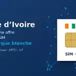 Côte d’Ivoire : comment préparer une offre SIM et eSIM en marque blanche ? 9 Carte SIM aux couleurs de la Côte d’Ivoire illustrant le lancement d’une offre SIM et eSIM en marque blanche