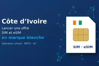 Côte d’Ivoire : comment préparer une offre SIM et eSIM en marque blanche ? 11 Carte SIM aux couleurs de la Côte d’Ivoire illustrant le lancement d’une offre SIM et eSIM en marque blanche
